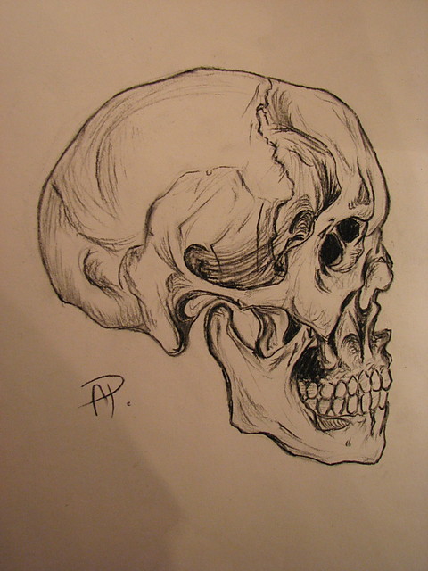 skull