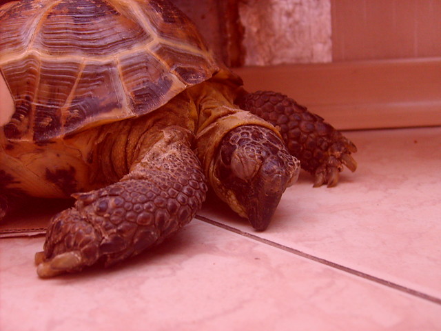 A wia SE wstawi ;)