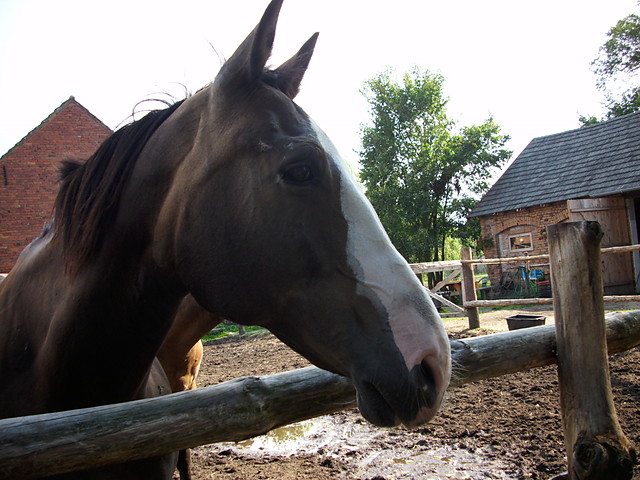 Lidka;p