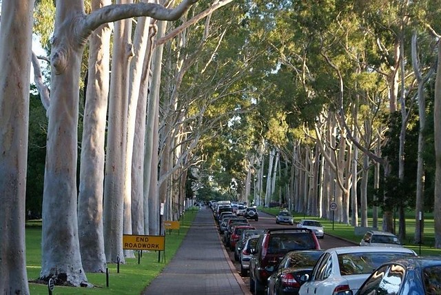 Park :)