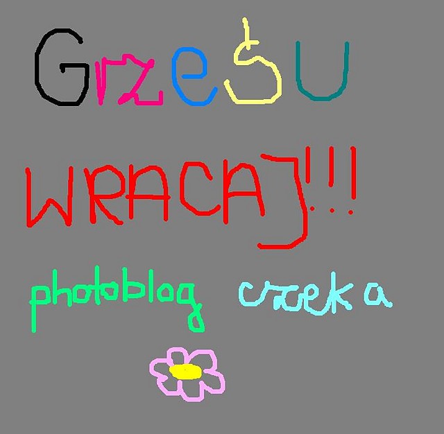 wracaj Gupolu