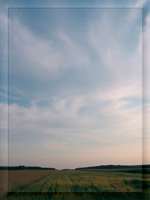 Goodbye Blue Sky