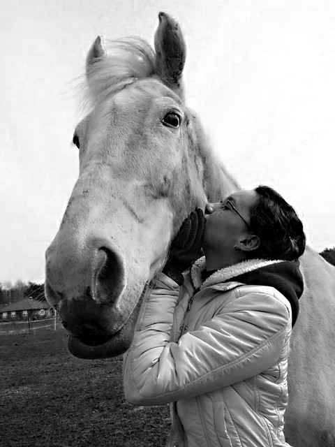 Baj.;*