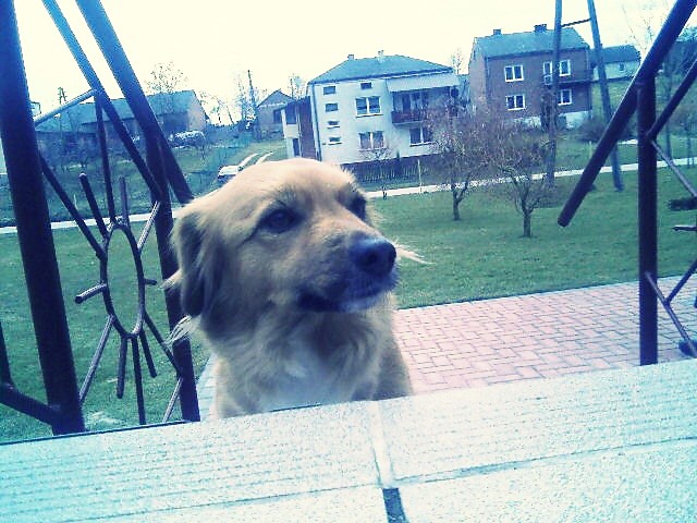 Misia. :*