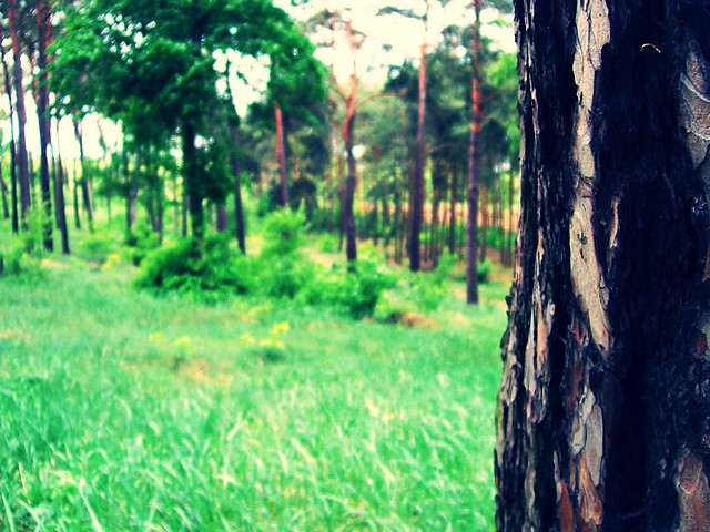 w zgodzie z natur...