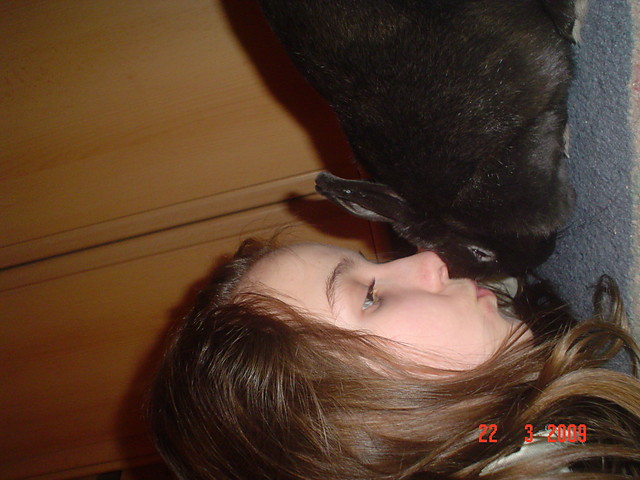 krliczekkkkkk xD