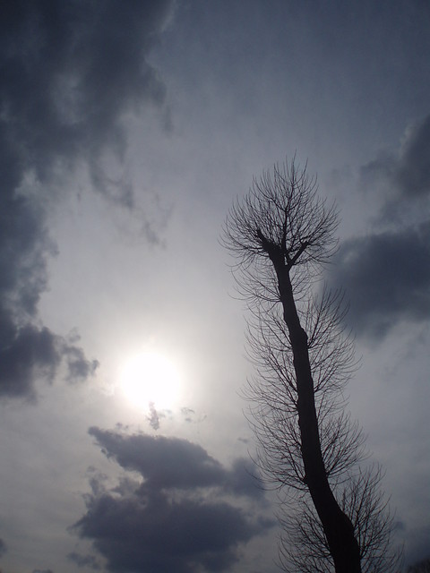 Mechelinki