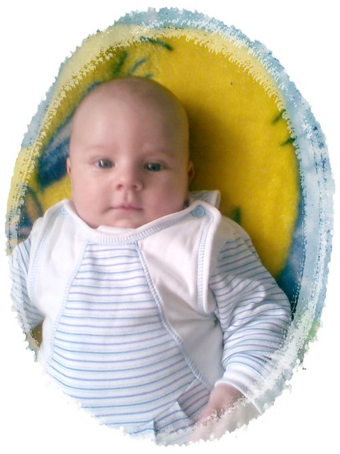 Oli