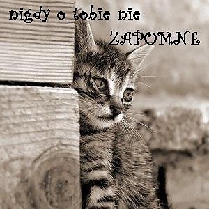 Ty wiesz Kocham Ci...!!!