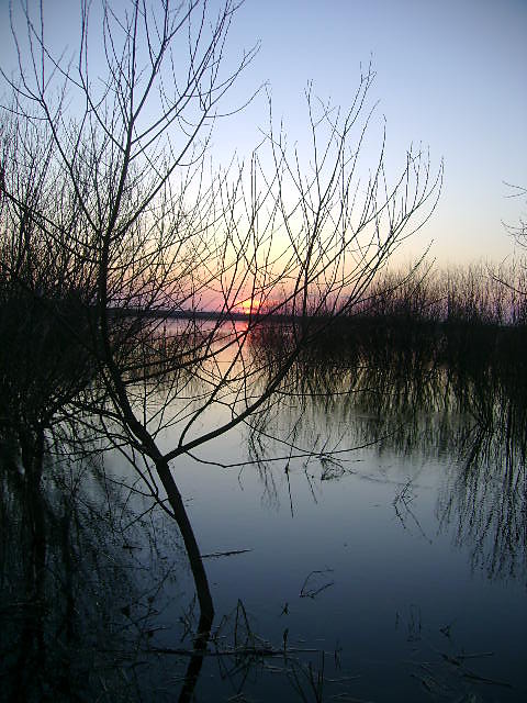 Wiosna cig dalszy...