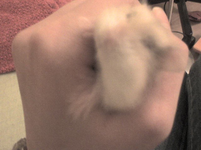 elusiu :[ :*