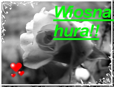 Wiosna
