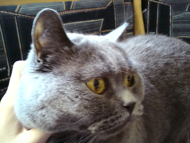 jozinka