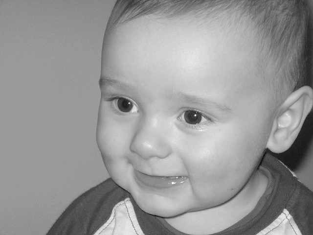 bruder 1,5 years ago