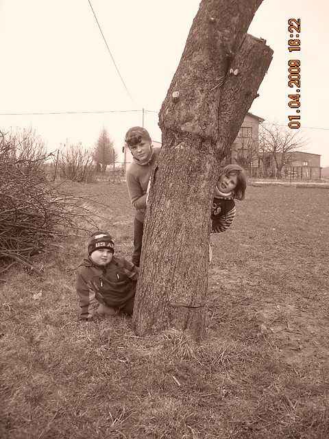 cisza w polu