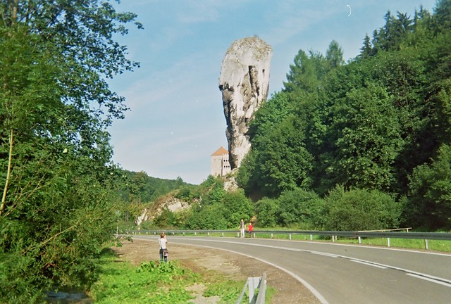 Maczuga Herkulesa czyli Wiosna