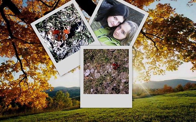 Brave & Colorful New  World ;**