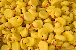 67