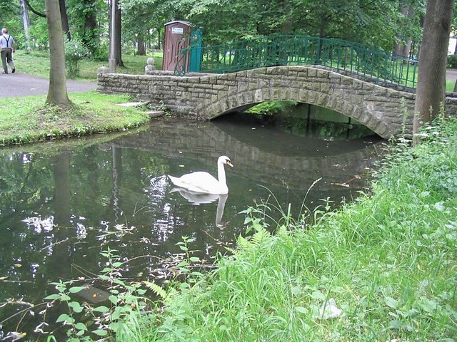 Park ywiecki