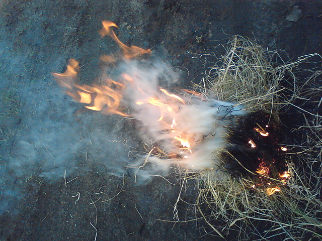 brak opisu
