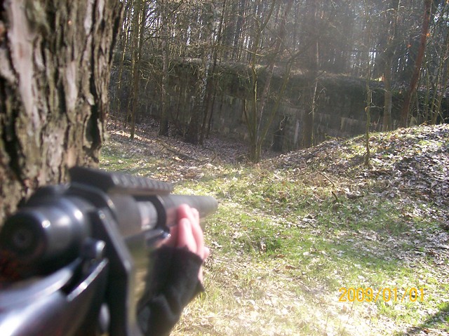 Snipe
