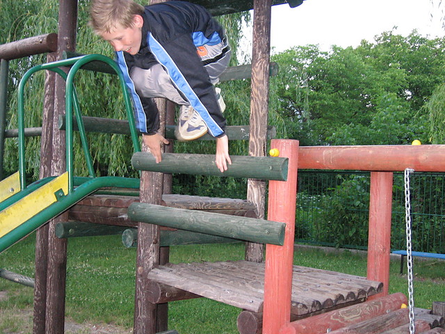 monkey
