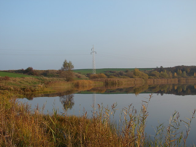 Tak dla zasady
