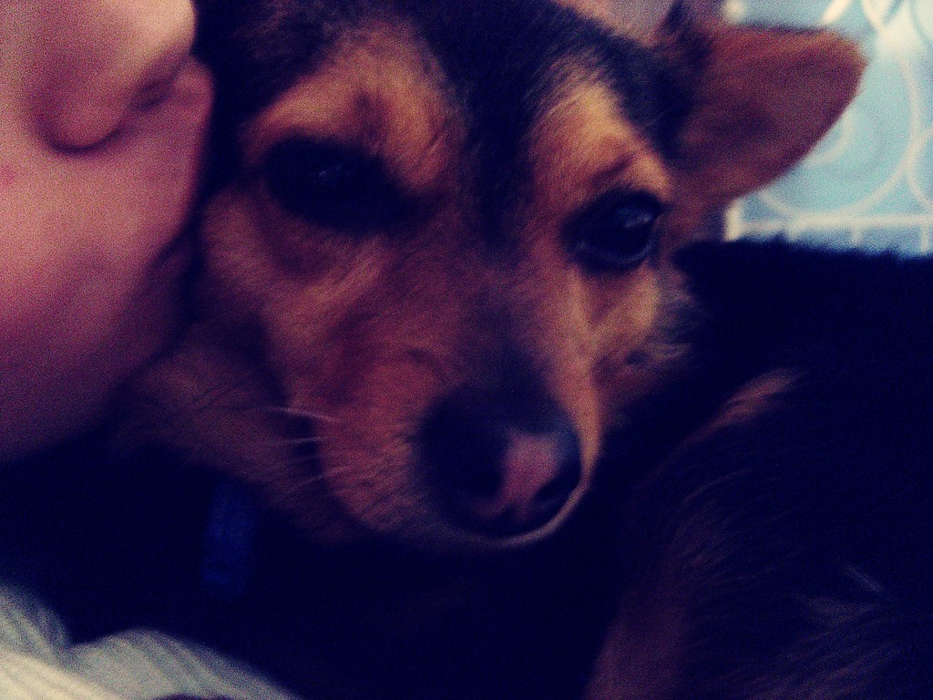 buziii ; dd