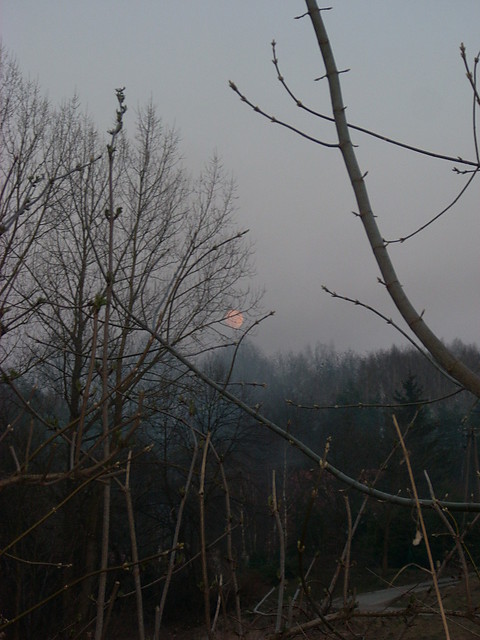 der Mond