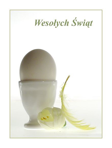 WESOEGO ALLELUJA :)