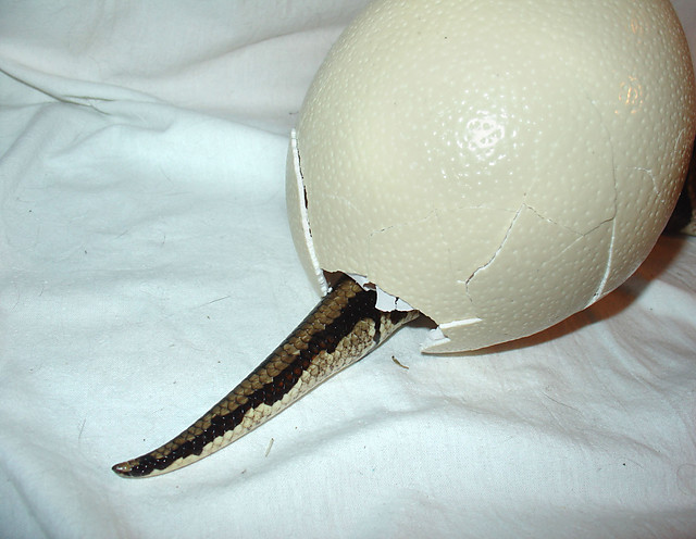 jajco