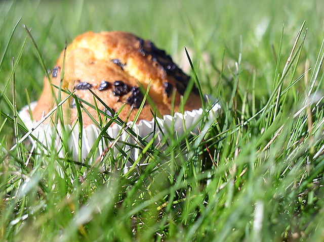 Muffin.