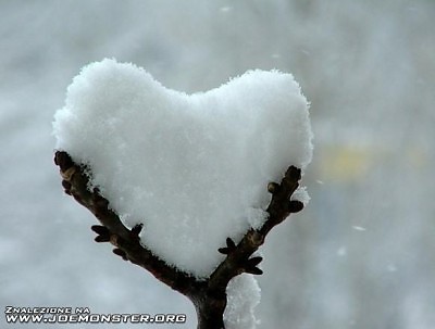 NIE MUSI BY MOJE ! ! !