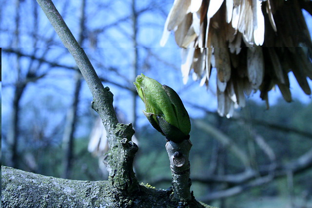 Wiosna 2009