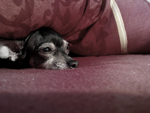 Lenny.