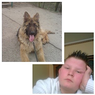 ja i mj dog
