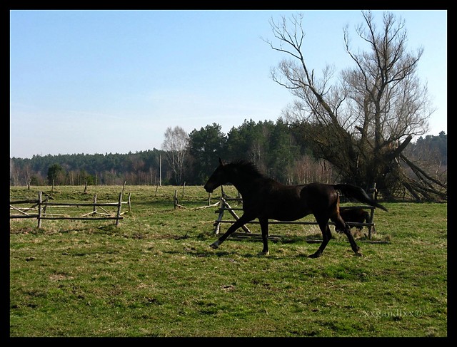 Moje kochanie :) 