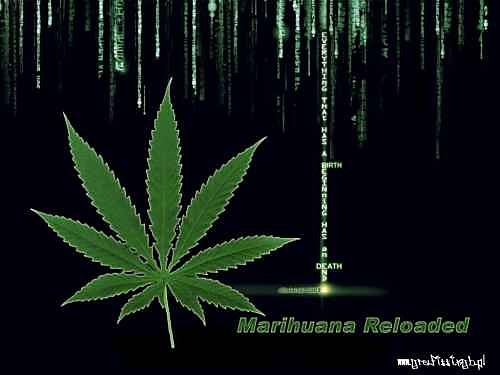 THC...To JesT To FAza I SZklo