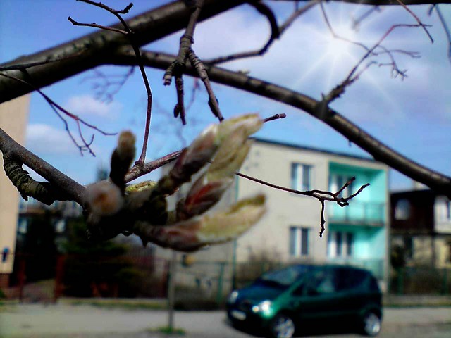 WiOsNa :PPP