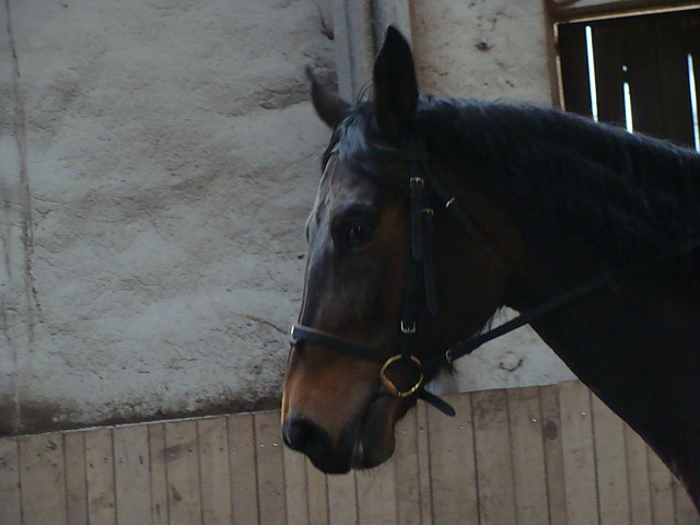 czantoryjne.
