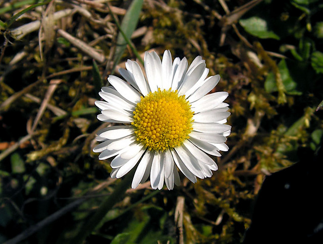1.