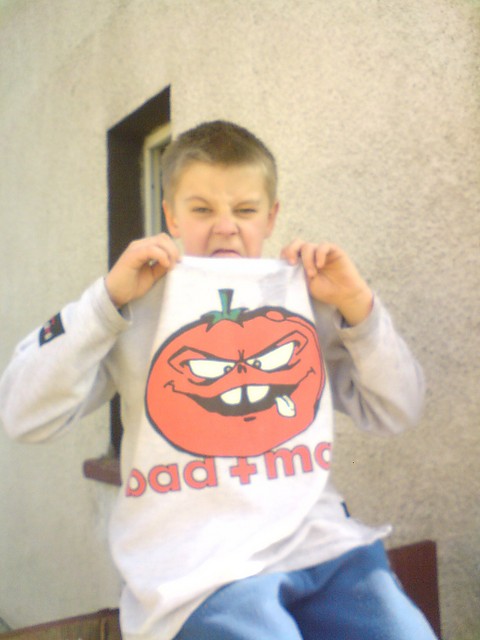 pomidor 