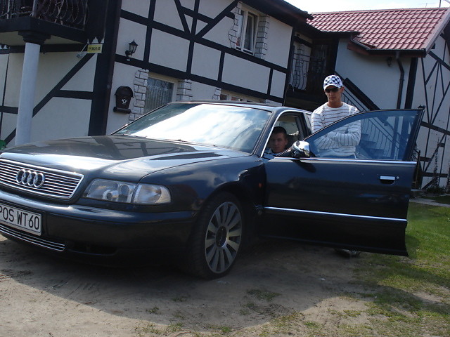 Stegna
