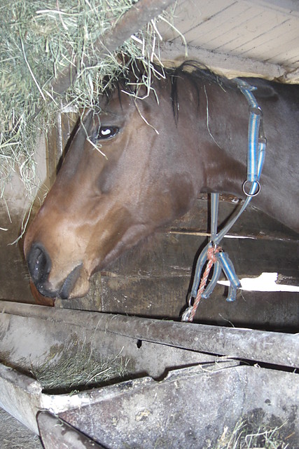 Oto Wyspa :)
