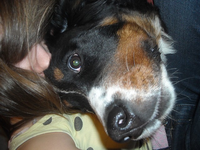 Tosca xdd