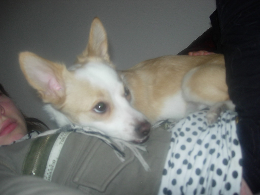 Mariolka ;)