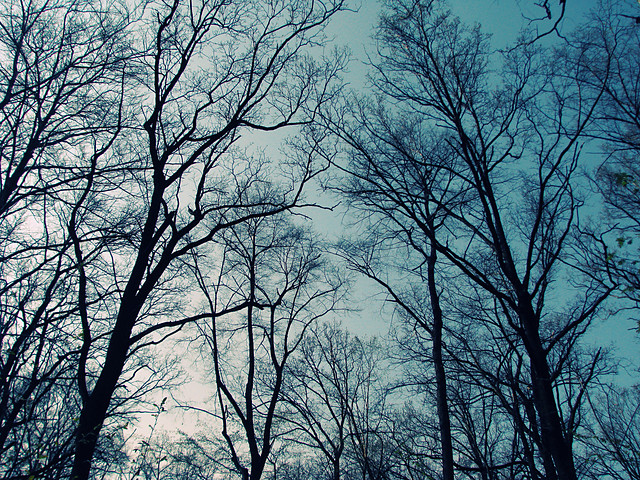 cold