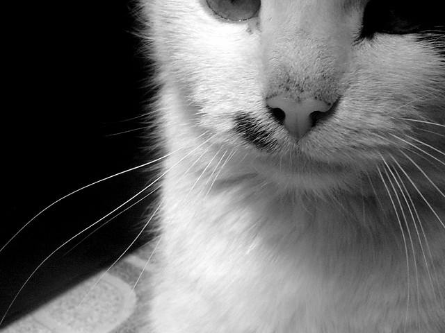 < 3