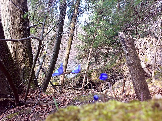 Widoczek :)