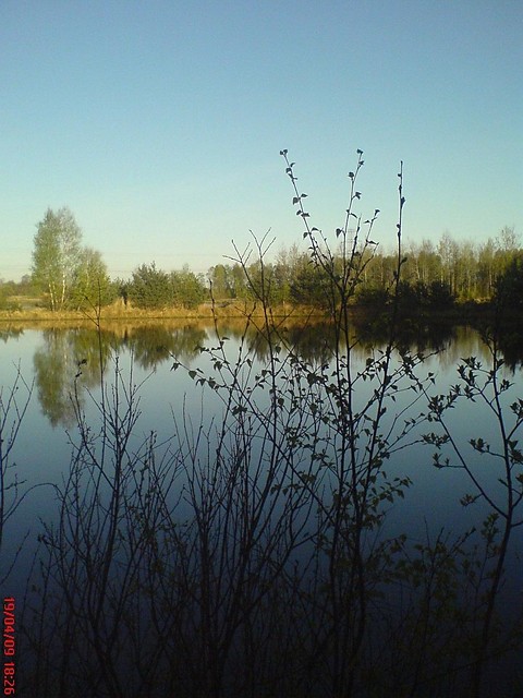 u mnie na wsi:)